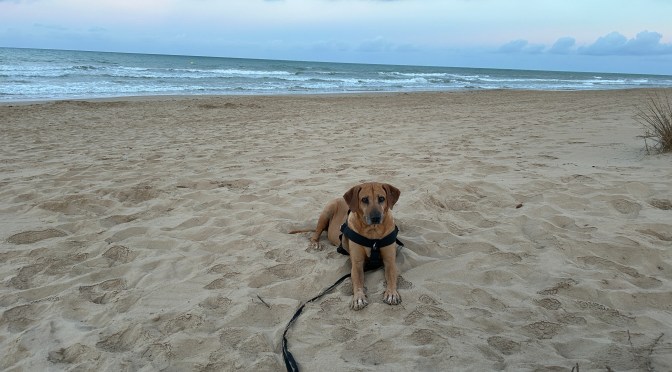 På eventyr med Lasse 2024 dag 4 – I ly for uværet